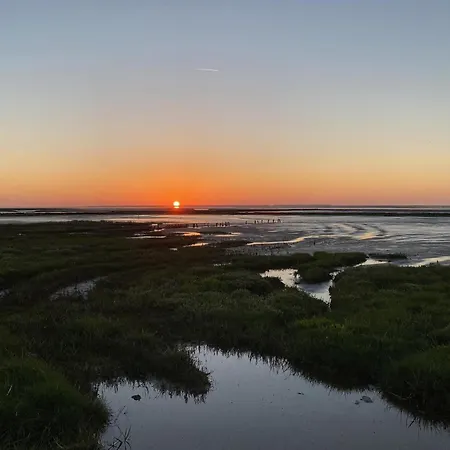 Ferienhaus-hornhecht بيت للعطل