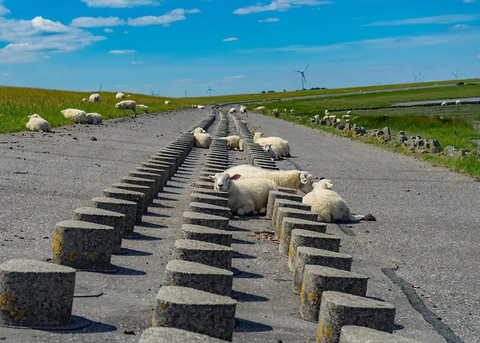 Ferienhaus-hornhecht Dornumersiel