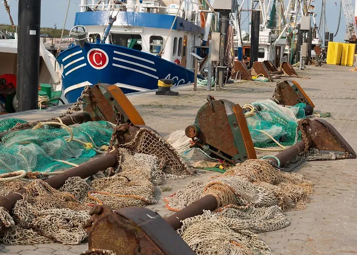 Ferienhaus-hornhecht *